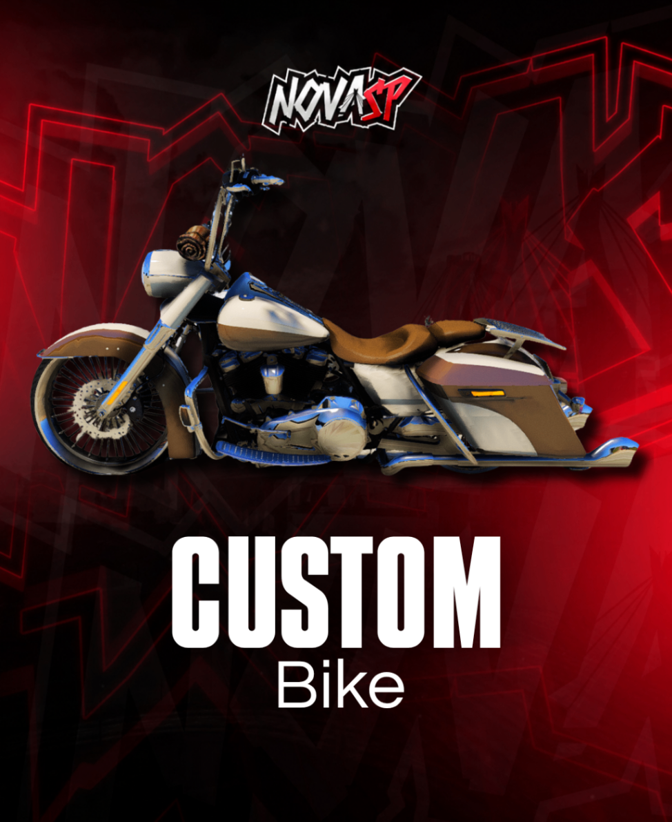Custom Bike