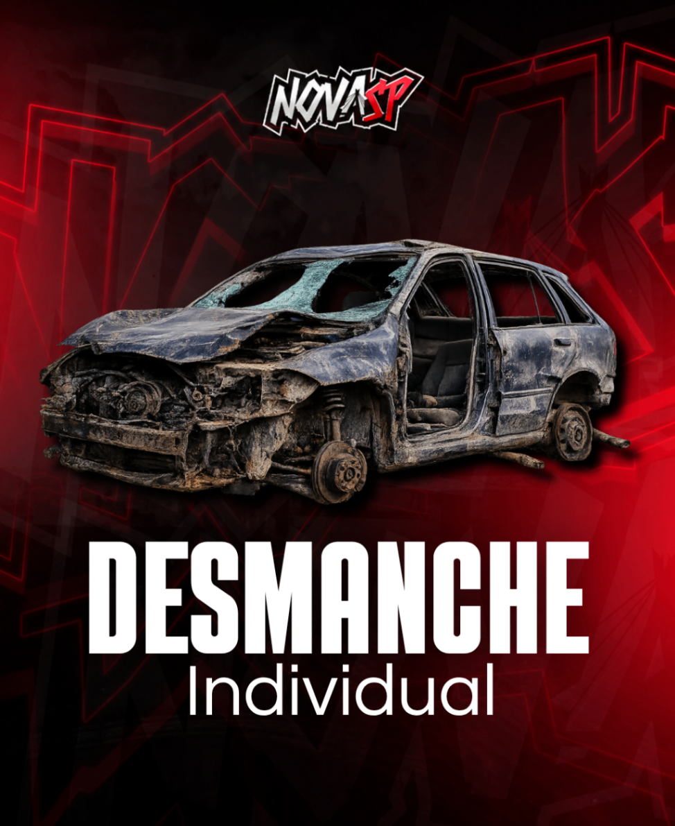 Desmanche Individual (30 dias)